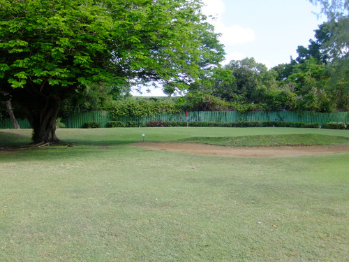 Fourth green