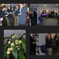 image montage