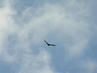 dscn1291.jpg