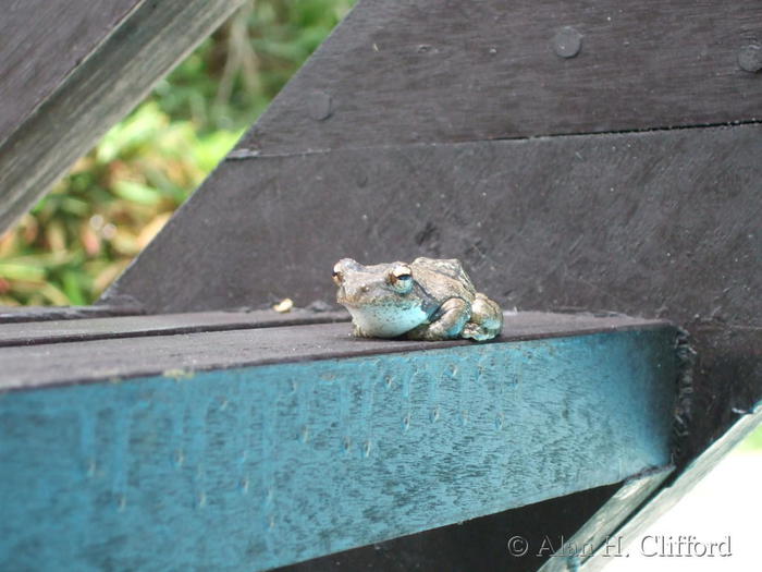 a photo
