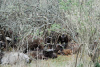 dsc_4347.jpg