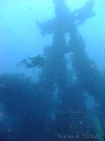 dscf1597.jpg