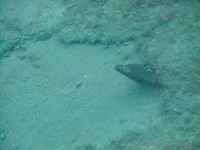 dscf1988.jpg