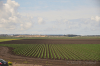 ahc_3953_2.jpg