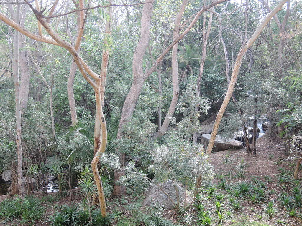 a photo